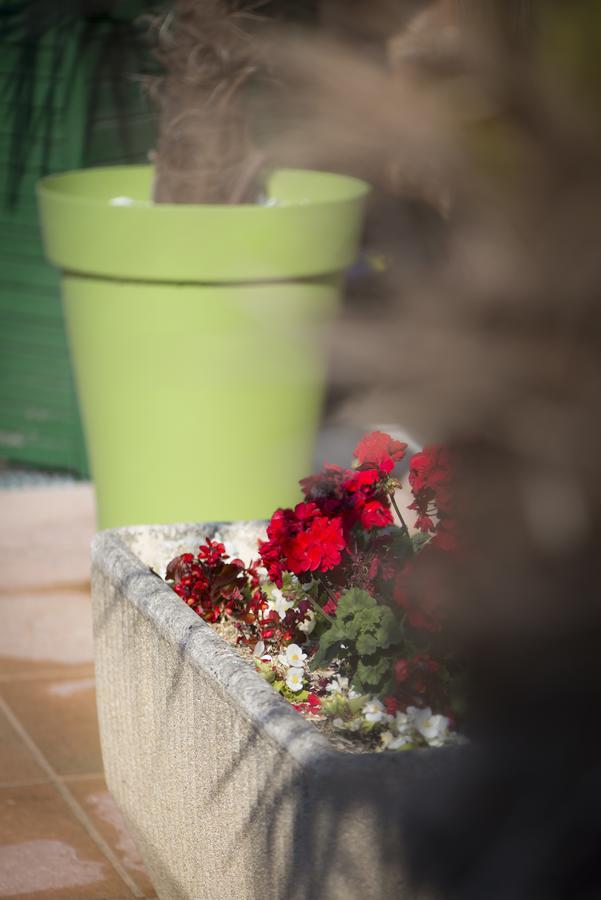 Le Relais De St Martin Bed and Breakfast Rilly-la-Montagne Esterno foto